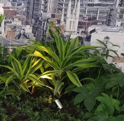 Ruby UK Ellumiere Stainless Steel Spotlight Small 7 Ruby UK Ellumiere Stainless Steel Spotlight Small