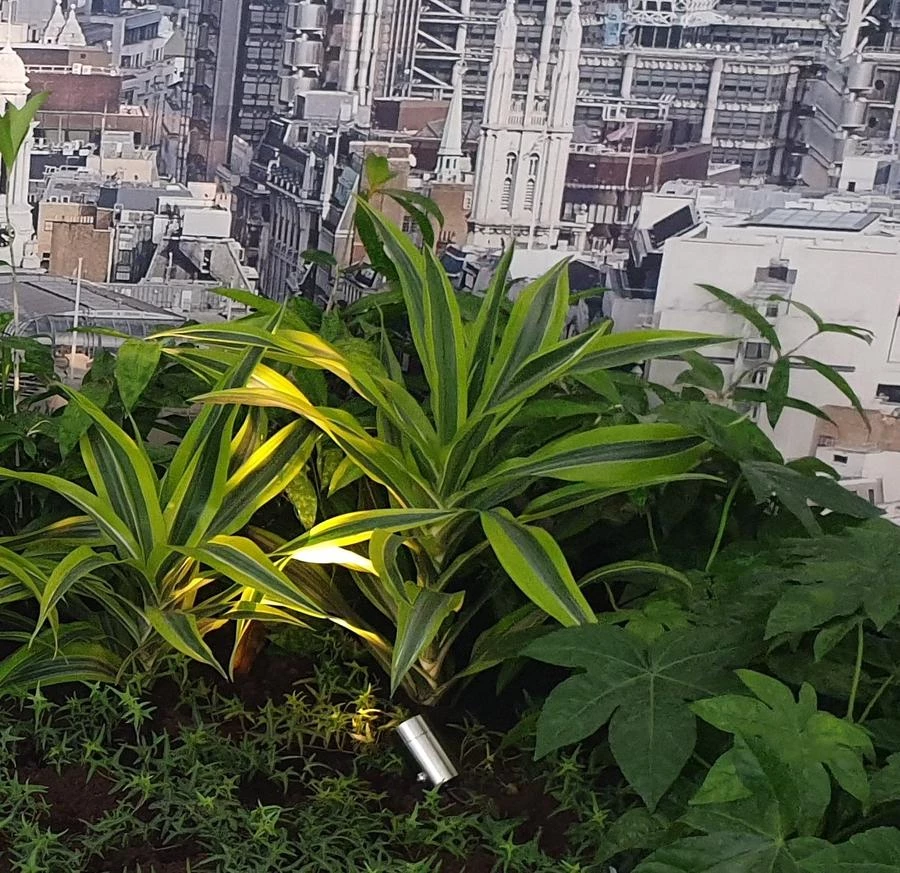 Ruby UK Ellumiere Stainless Steel Spotlight Small 5 Ruby UK Ellumiere Stainless Steel Spotlight Small