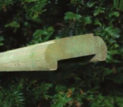 Ruby UK Panel Capping Pressure Treated