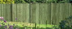 Ruby UK Decorative Premium Featheredge Pressure Treated Fence Panels
