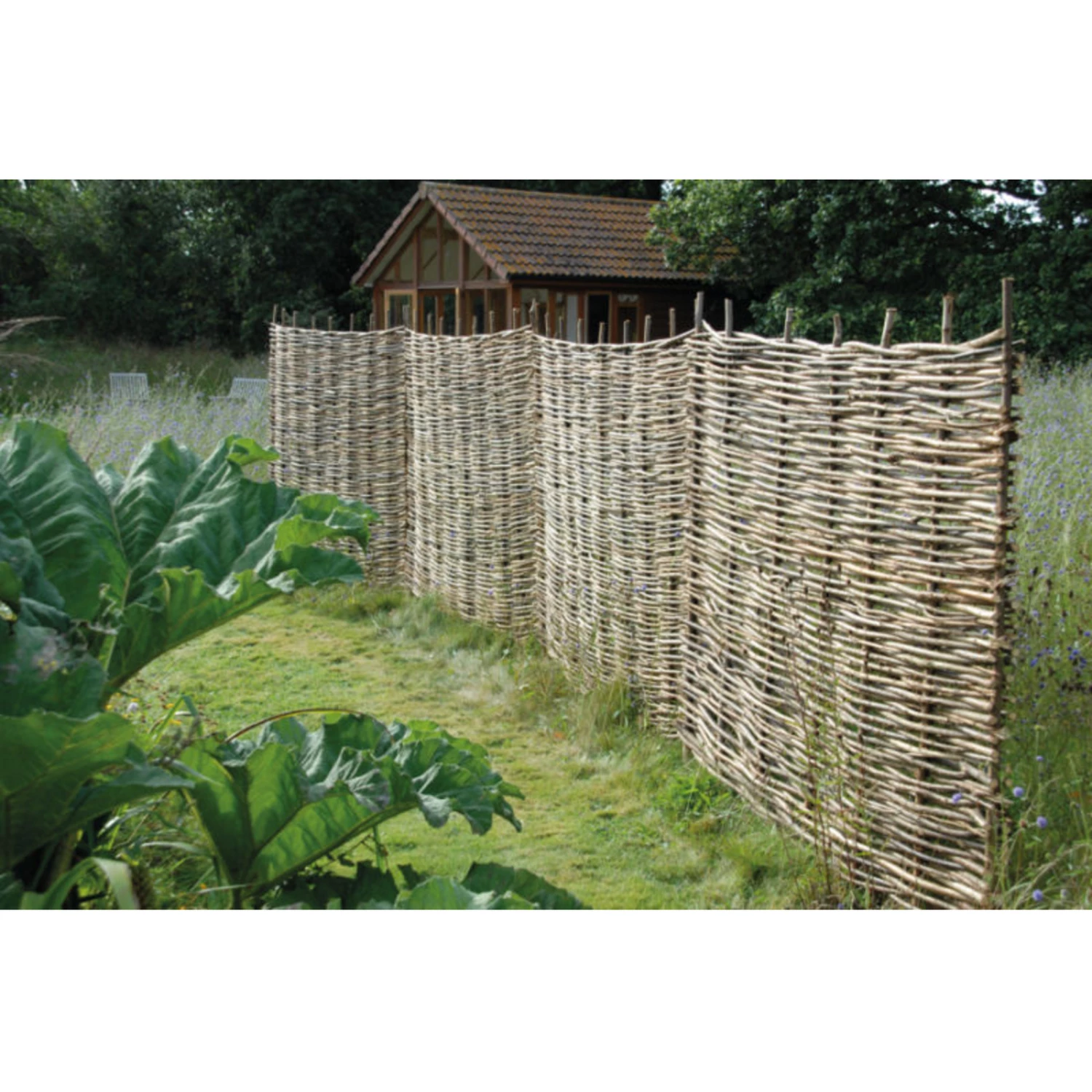 Ruby UK Decorative Hazel Hurdles - Garden Screening 4 Ruby UK Decorative Hazel Hurdles - Garden Screening