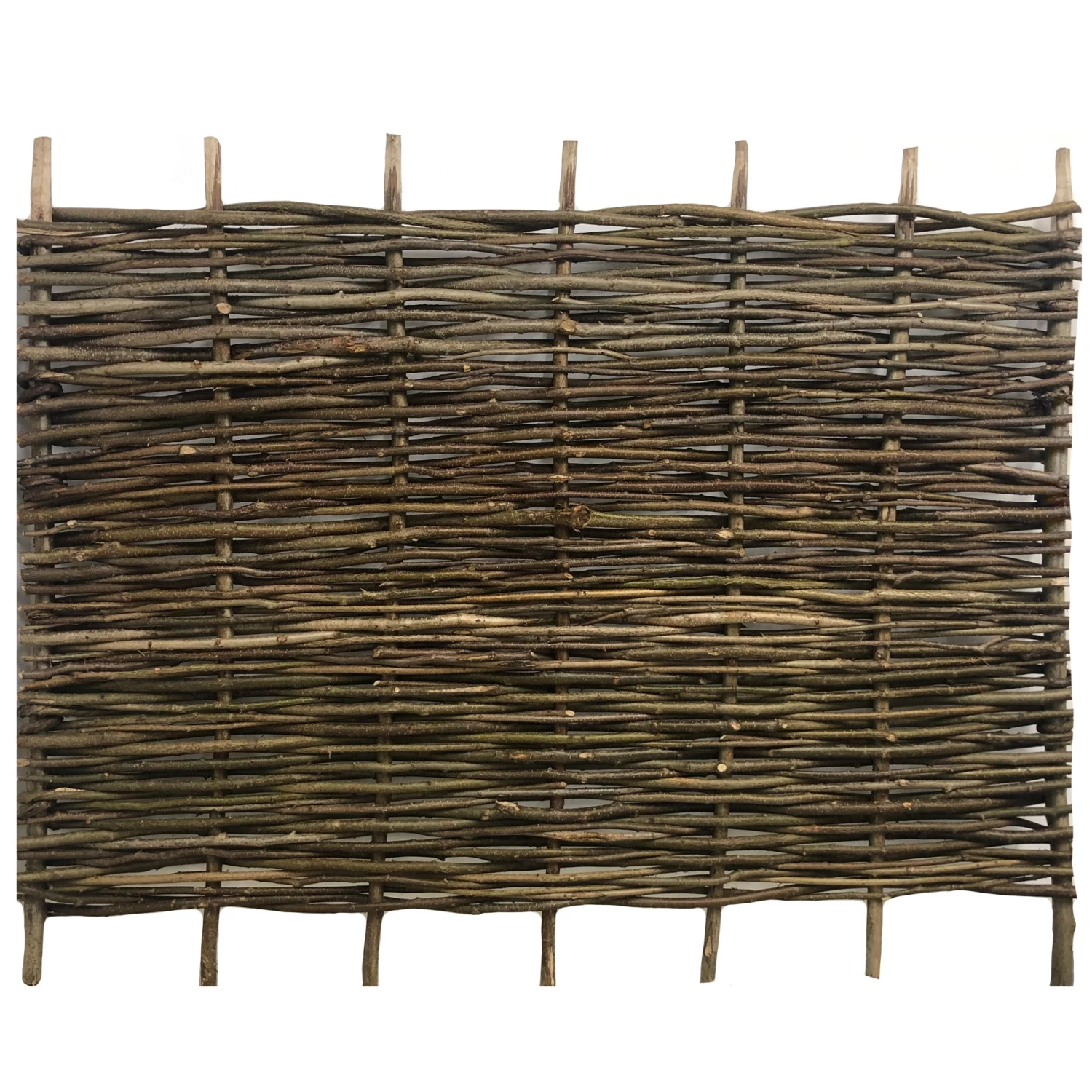 Ruby UK Decorative Hazel Hurdles - Garden Screening 3 Ruby UK Decorative Hazel Hurdles - Garden Screening